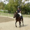 Babie Lato 2016
